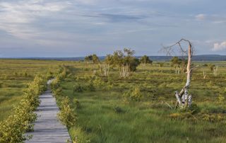 Hautes Fagnes